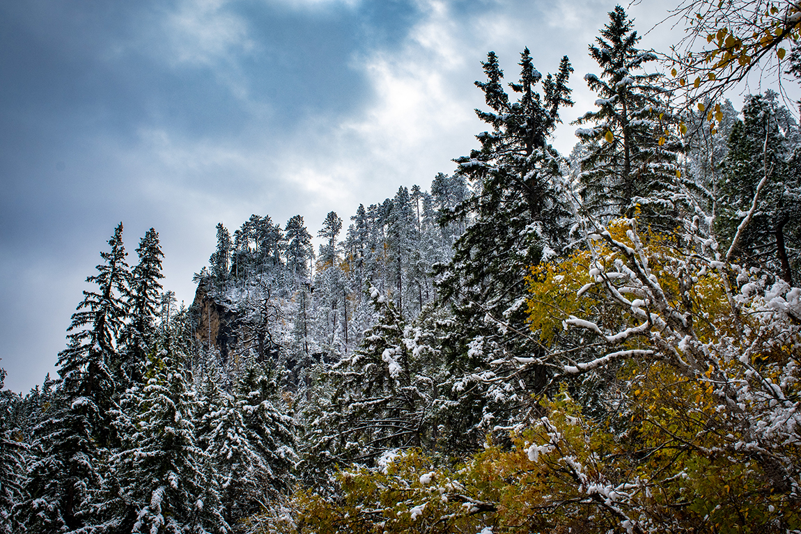 First Snow in Spearfish Canyon Photos Everything South Dakota
