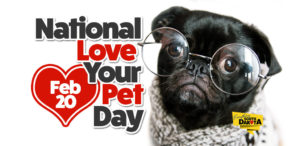 National Love Your Pet Day - Feb. 20 - Everything South Dakota